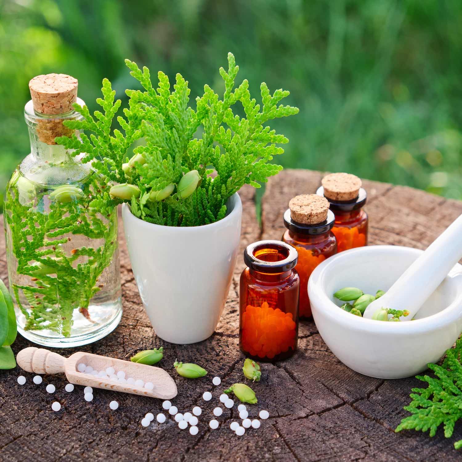 Homéopathie, Pharmacie de la Mairie, Le Moule